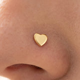 Piercing narine or