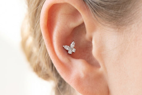 Piercing Papillon