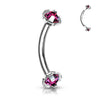Argent/Violet