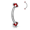 Argent/Rouge