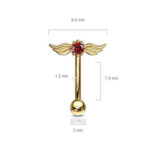 Sourcil Ailes d´Ange Zircone