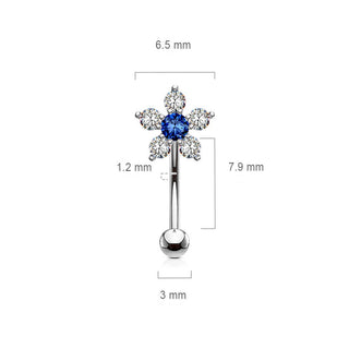 Sourcil Fleur Zircone