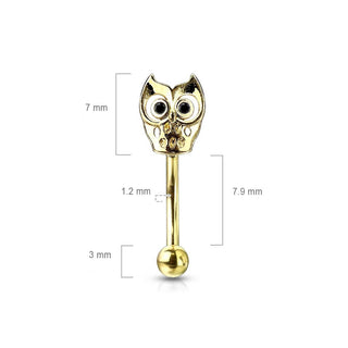 Sourcil Hibou