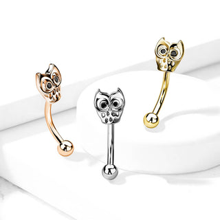 Sourcil Hibou