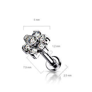 Titane Labret Fleur Zircone Argent Enfoncer