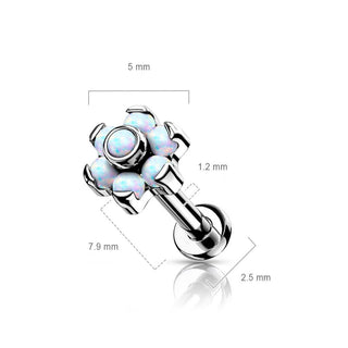 Titane Labret Fleur Opale Argent Enfoncer