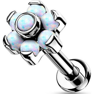Titane Labret Fleur Opale Argent Enfoncer