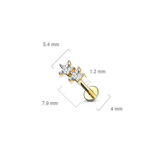 Labret Étoile Zircone Filetage Interne