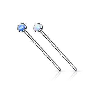 Nez Queue de Poisson Opale Argent