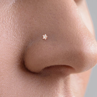 Nez  Vis Zircone Étoile