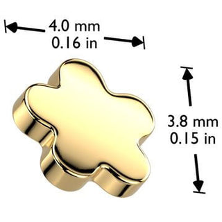 Titane Embout embout fleur Filetage Interne