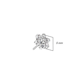 Titane Embout Embout Fleur Zircone Argent Enfoncer