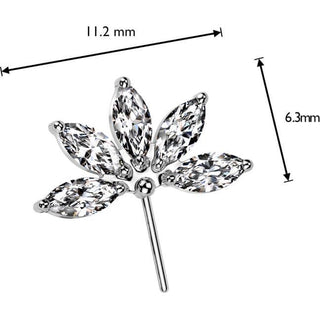 Titane Embout Fleur taillée marquise zircon Enfoncer