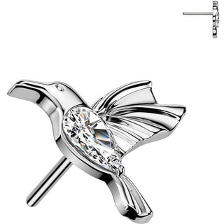 Titane Embout top Colibri zircone Enfoncer