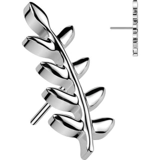 Titane Embout Embout feuille zircone Enfoncer