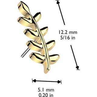 Titane Embout Embout feuille zircone Enfoncer