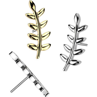 Titane Embout Embout feuille zircone Enfoncer