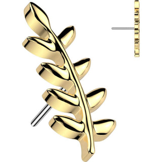 Titane Embout Embout feuille zircone Enfoncer