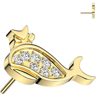 Titane Embout embout baleine zircone Enfoncer