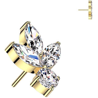 Titane Embout feuille zircones Enfoncer