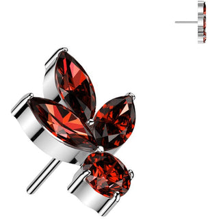 Titane Embout feuille zircones Enfoncer