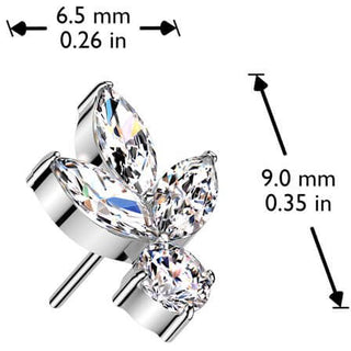 Titane Embout feuille zircones Enfoncer