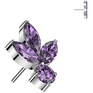 Titane Embout feuille zircones Enfoncer