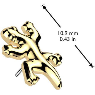 Titane Embout embout gecko Enfoncer