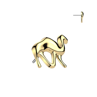 Titane Embout embout chameau Enfoncer
