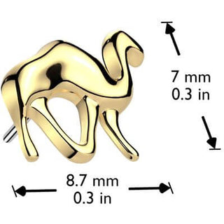 Titane Embout embout chameau Enfoncer