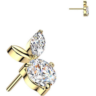 Titane Embout embout feuilles zircone Enfoncer