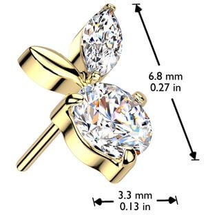 Titane Embout embout feuilles zircone Enfoncer