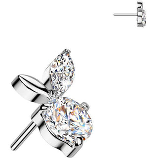 Titane Embout embout feuilles zircone Enfoncer