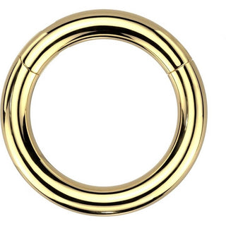 Anneau Anneau Segment