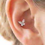 Piercing Papillon