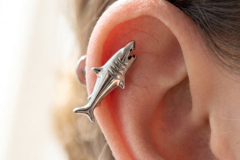 Piercing hélix titane