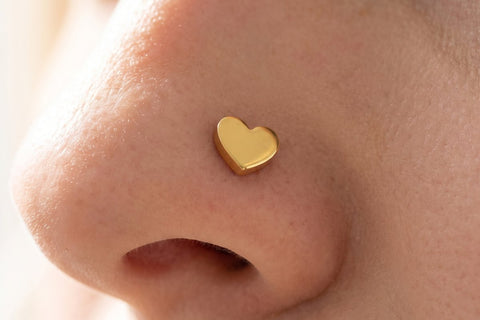 Piercing Nez Cœur