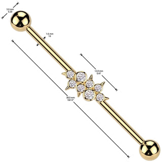 Industrial Barbell zirconias spikes