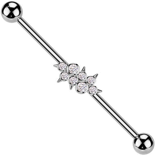 Industrial Barbell zirconias spikes