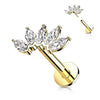 Solid Gold 14 Carat Labret Marquise 5 Zirconia Push-In