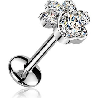 Titanium Labret paw zirconia Push-In