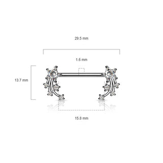 Téton Étoile Filante Argent