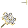 Titanium top flower prong set moissanite Push-In