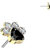 Titanium Top top paw zirconia Push-In
