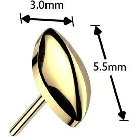 Titanium top marquise Push-In