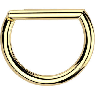 Titanium Ring gold silver black Segment