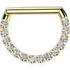 Titanium Ring zirconia Segment