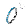 Titanium Ring Zirconia Segment