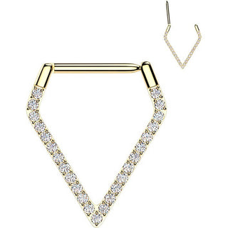Titanium Ring triangle zirconia Segment