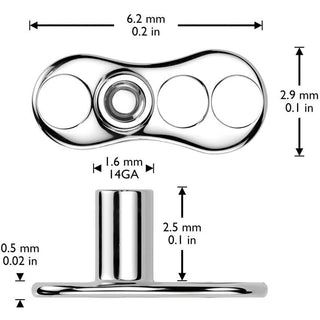 Titane Ancre Dermale zircone 2,5 mm de hauteur Filetage Interne